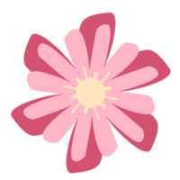 Cute flower pattern png