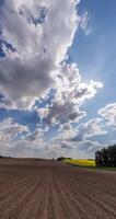 verticaal timelapse van lucht achtergrond met klein pluizig wolken in winderig dag in landbouw veld- video