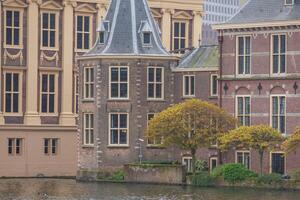 the city of den haag in holland photo