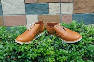 pair of brown shoes photo