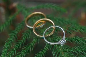 engagement ring and wedding rings photo