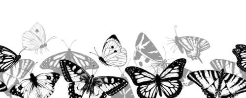 Butterfly seamless Border. Black and white line art drawing of vintage pattern with wings. Beautiful insects sketch. Hand drawn for cards design. Outline illustration on transparent background vector