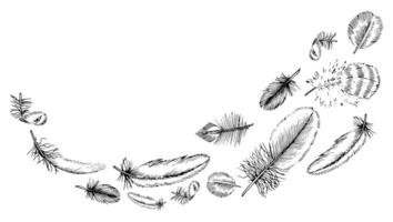 Feather Border. Black line art drawing of flying quills. Hand drawn set of plumes of different birds. Linear sketch on isolated white background. Outline illustration in engraving style vector