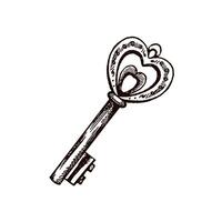 Hand-drawn vintage decorative keys sketches with intricate forging. Ink and pen drawing illustration, keys on white background. vector