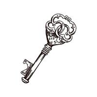 Hand-drawn vintage decorative keys sketches with intricate forging. Ink and pen drawing illustration, keys on white background. vector