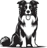 Border Collie Dog Illustration. vector