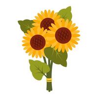 Bouquet of sunflowers with leaves. Botanical clipart in flat style. Cottage core illustration isolated on white background. Ideal for cards, logo, decoration, spring and summer design. vector