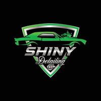 Auto detailing logo vector