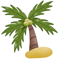 ClipArt ad acquerello di cocco png