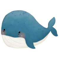 clipart aquarelle de baleine png