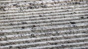 Asbestos roof tiles that have started to become ugly, originally gray in color are starting to show black spots. photo