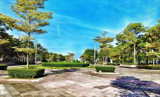 paisaje de un parque en el putra jaya llanuras. el jardín es limpio, limpiar y hermosa. plantas son formado con genial cálculo. foto