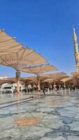 Medina, Saudi Arabia on March 1, 2024. Umbrellas spread across the Medina Haram Piazza or Al-Masjid An-Nabawi Umbrellas are open umbrellas erected in the Al-Masjid an-Nabawi square, Medina, Arab photo