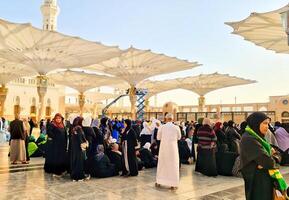 Medina, Saudi Arabia on March 1, 2024. Umbrellas spread across the Medina Haram Piazza or Al-Masjid An-Nabawi Umbrellas are open umbrellas erected in the Al-Masjid an-Nabawi square, Medina, Arab photo