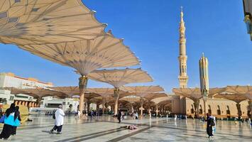 Medina, Saudi Arabia on March 1, 2024. Umbrellas spread across the Medina Haram Piazza or Al-Masjid An-Nabawi Umbrellas are open umbrellas erected in the Al-Masjid an-Nabawi square, Medina, Arab photo