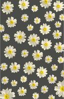 Lots of white daisy flower patterns on a gray background vector