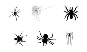 aranea arañas s icono conjunto vector