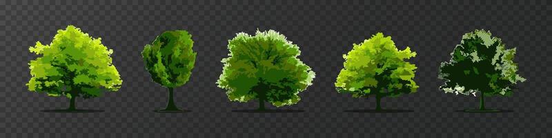 Tree set. Green fresh trees botanical illustration. vector