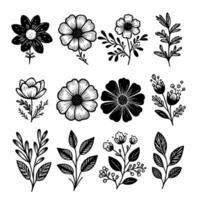 Set Of Simple Monochromatic Hand Drawn Style Of Flower Elements vector