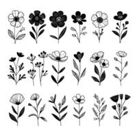 conjunto de artístico negro y blanco mano dibujado hoja flor y pétalos diseño vector