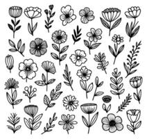 conjunto de botánico flor felicidad en mano dibujado monocromo mano dibujado estilo vector