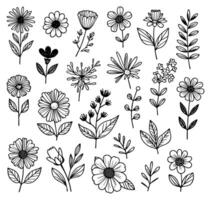 Set Of Black And White Whimsical Flowers Hand Drawn Illustrations vector