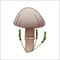 Mushroom isolated illustration. Toadstool in cartoon. Plants, botanists, not edible mushroom. Design element for theme forest mushrooms, menu, ingredients, recipes, organic products, etc. vector