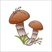 honey mushrooms color illustration isolated. Hand drawn armillaria melea in cartoon style. Design element for theme forest mushrooms, menu, forest, ingredients, recipes, organic products, etc. vector