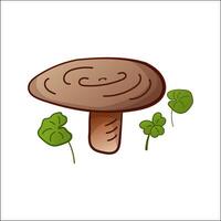 Nigella mushroom isolated illustration. Theme plants, botanists, mushrooms in cartoon style. Design element for theme forest mushrooms, menu, forest, ingredients, recipes, organic products, etc vector