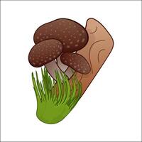 shitake mushroom on tree isolated illustration. Theme plants, botanists in cartoon. Design element for theme forest mushrooms, menu, ingredient, recipes, organic products, etc. vector