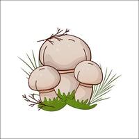 Champignon mushroom isolated illustration. Theme of plants, botanists in cartoon. Design element for theme forest mushrooms, menu, ingredients, recipes, organic products, etc. vector