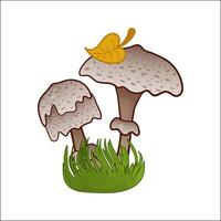 Mushroom isolated illustration. Toadstool in cartoon. Plants, botanists, not edible mushroom. Design element for theme forest mushrooms, menu, ingredients, recipes, organic products, etc. vector