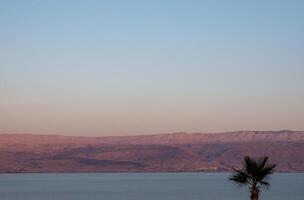 Sunset on Dead Sea, Jordan, Israel. Silhouette of palm trees. Selective focus photo