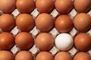 Chicken brown and white fresh raw eggs in a carton container. Ingredients for cooking. Concept for healthy eating. Selective focus. photo