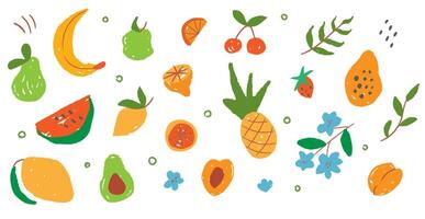 Set of abstract textured exotic fruit. Drawing leaf and citrous. Modern exotic jungle plant illustration. Organic shapes on isolated background vector