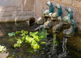 el Iglesia de el multiplicación de el panes y el peces, tabha, Israel. fuente con bronce peces alto calidad foto