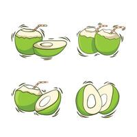 illustration of whole and half green young coconut. vector