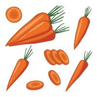 Set orange carrots with green tops.Whole and chopped vegetables. Cartoon style. Fresh food product element for sticker, grocery shop, farm store element. illustration vector