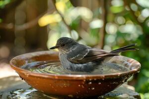 gris pájaro encaramado en sombreado jardín pila para pájaros. foto