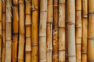 dorado marrón bambú bastones agrupados juntos foto