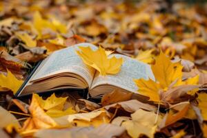 libro rodeado por dorado otoño hojas foto