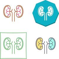 Kidney Icon Design vector