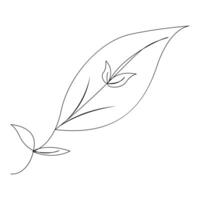 Leaf Continuous single one line drawing illustration art design vector