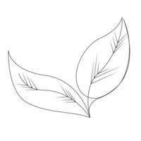 Leaf Continuous single one line drawing illustration art design vector