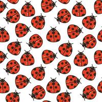 Seamless pattern with ladybugs. Cute red insects. vector