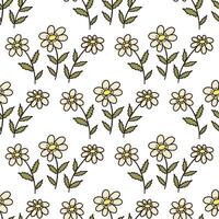 Seamless pattern with chamomiles. doodle hand drawn vector