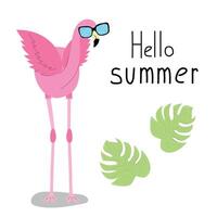 Front view flamingo in sunglasses vector