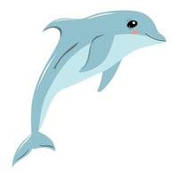 Cartoon dolphin jumping illustration vector