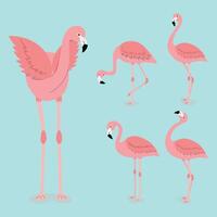 Exotic flamingo set on a blue background vector