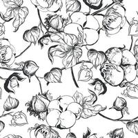 , seamless, black and white pattern of cotton flowers. Botanical illustration using engraving technique. Cotton branches with leaves are drawn with ink. Illustration suitable for fabric, textile vector